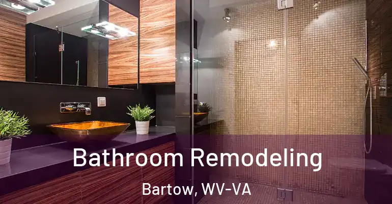 inner Bathroom imggen Bathroom Remodeling Bartow, WV-VA