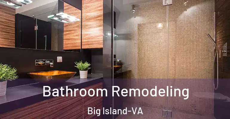 inner Bathroom imggen Bathroom Remodeling Big Island-VA