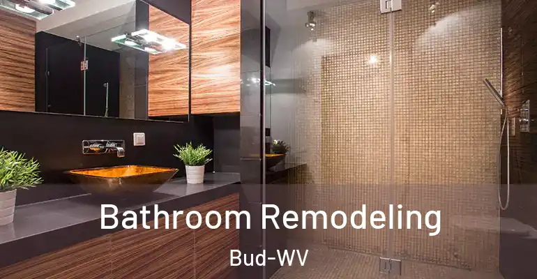 inner Bathroom imggen Bathroom Remodeling Bud-WV
