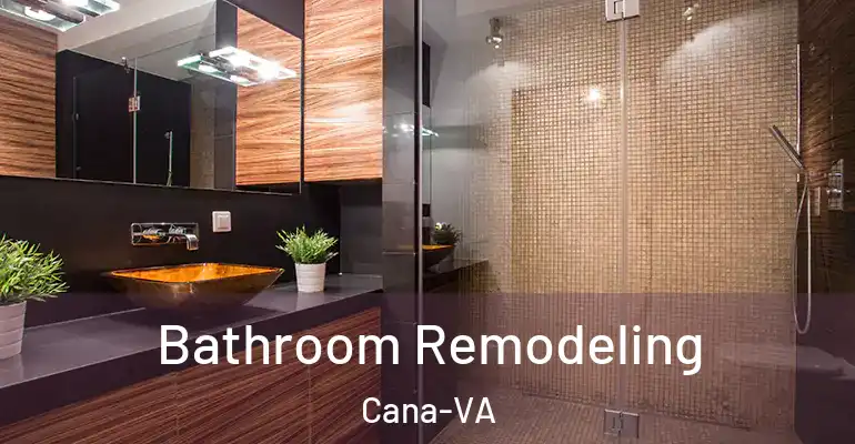 inner Bathroom imggen Bathroom Remodeling Cana-VA