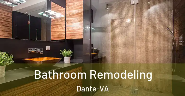 inner Bathroom imggen Bathroom Remodeling Dante-VA