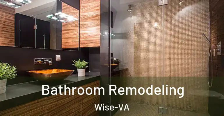 inner Bathroom imggen Bathroom Remodeling Wise-VA