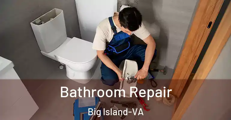 inner Bathroom imggen Bathroom Repair Big Island-VA