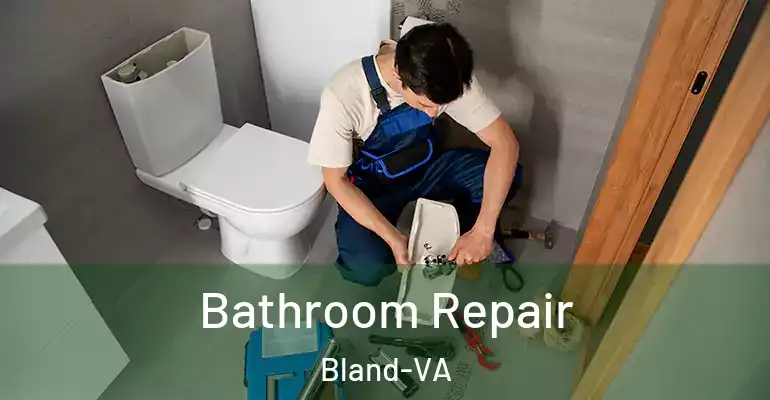 inner Bathroom imggen Bathroom Repair Bland-VA