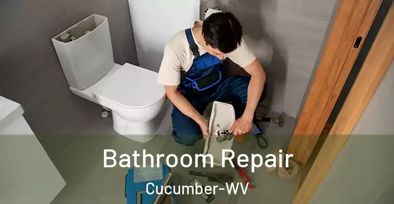 inner Bathroom imggen Bathroom Repair Cucumber-WV