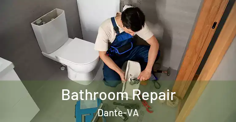 inner Bathroom imggen Bathroom Repair Dante-VA