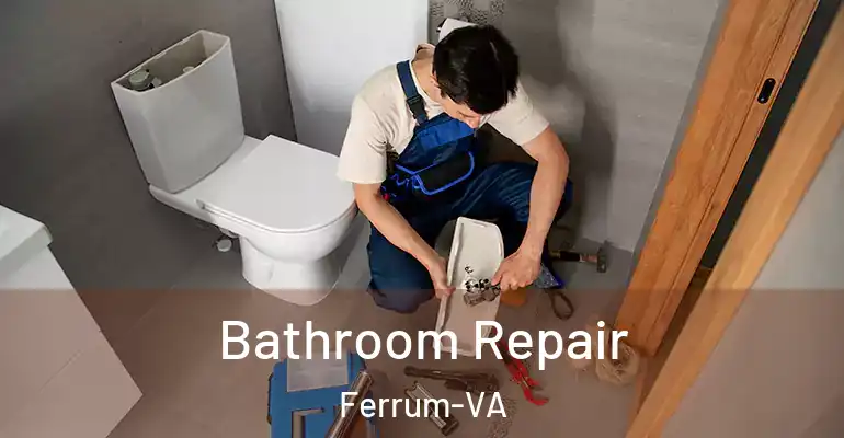 inner Bathroom imggen Bathroom Repair Ferrum-VA
