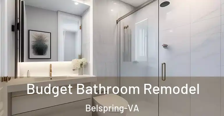 inner Bathroom imggen Budget Bathroom Remodel Belspring-VA