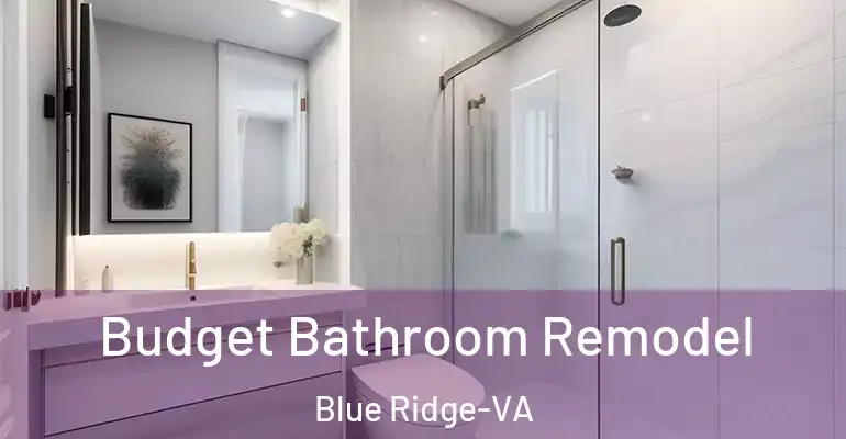 inner Bathroom imggen Budget Bathroom Remodel Blue Ridge-VA
