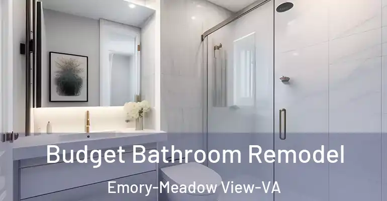 inner Bathroom imggen Budget Bathroom Remodel Emory-Meadow View-VA