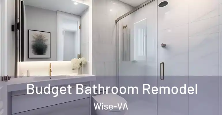 inner Bathroom imggen Budget Bathroom Remodel Wise-VA