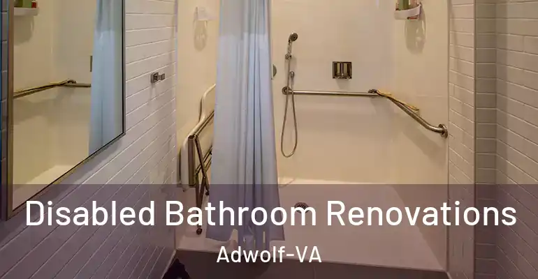 inner Bathroom imggen Disabled Bathroom Renovations Adwolf-VA
