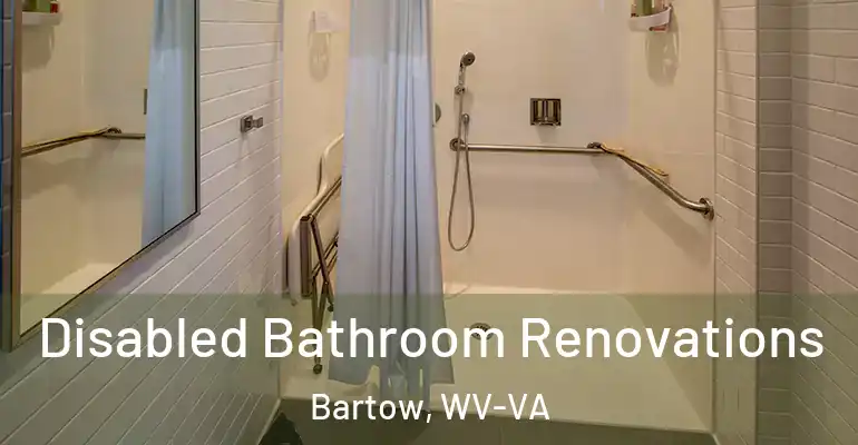 inner Bathroom imggen Disabled Bathroom Renovations Bartow, WV-VA
