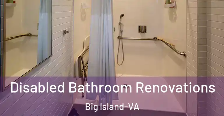 inner Bathroom imggen Disabled Bathroom Renovations Big Island-VA