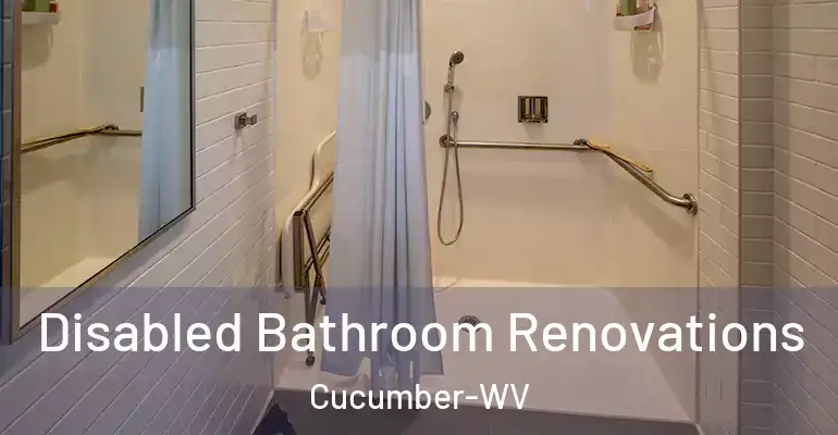 inner Bathroom imggen Disabled Bathroom Renovations Cucumber-WV