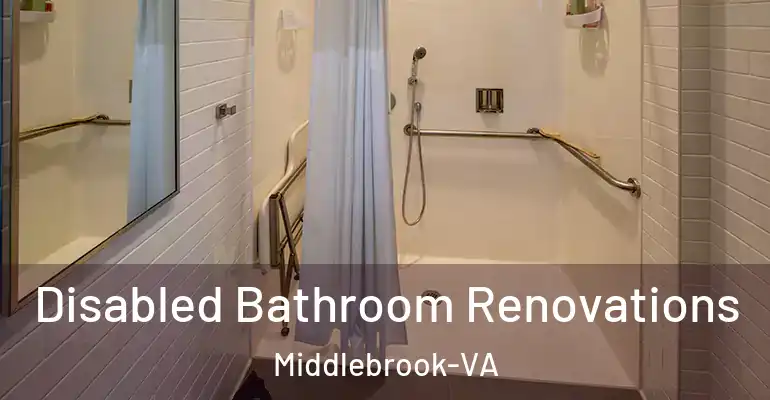 inner Bathroom imggen Disabled Bathroom Renovations Middlebrook-VA