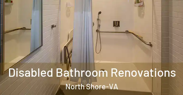 inner Bathroom imggen Disabled Bathroom Renovations North Shore-VA