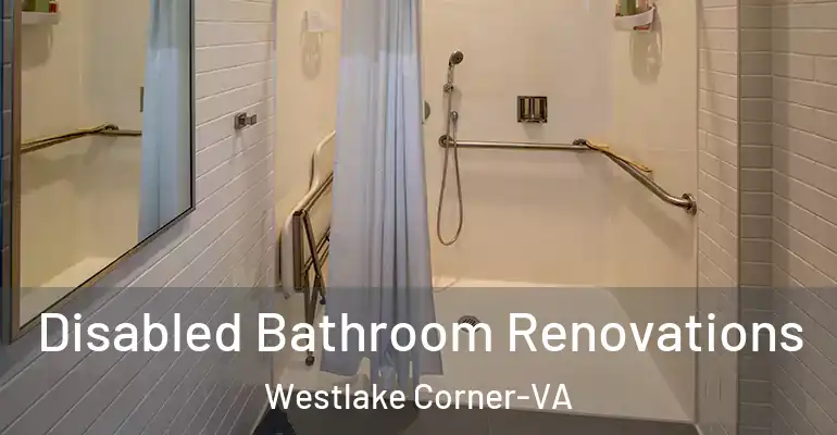 inner Bathroom imggen Disabled Bathroom Renovations Westlake Corner-VA