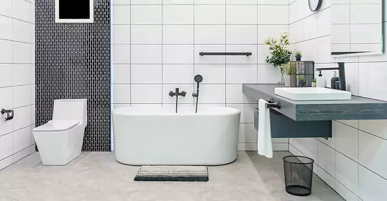 Bathroom Leak Repair in Roanoke