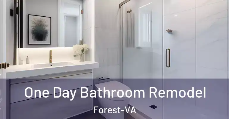 inner Bathroom imggen One Day Bathroom Remodel Forest-VA