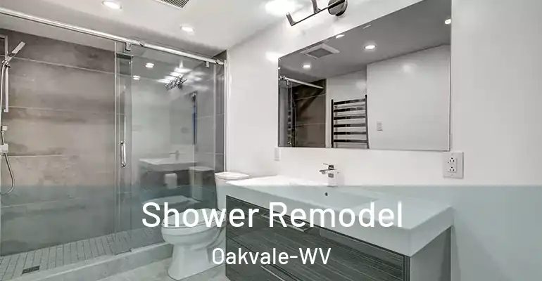inner Bathroom imggen Shower Remodel Oakvale-WV