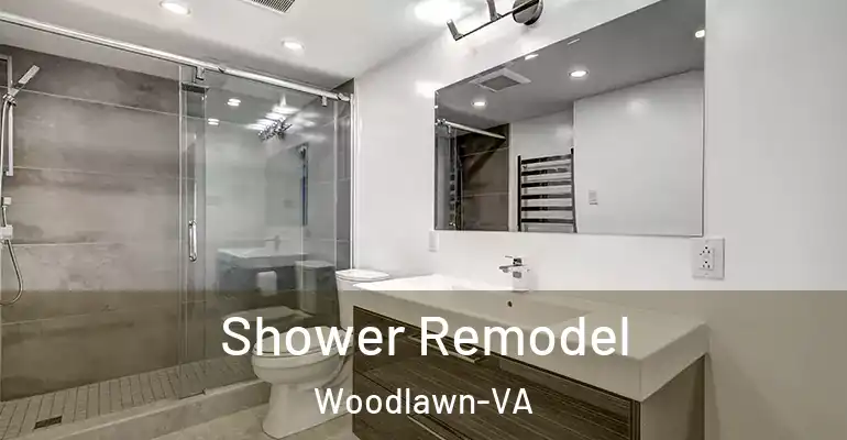 inner Bathroom imggen Shower Remodel Woodlawn-VA