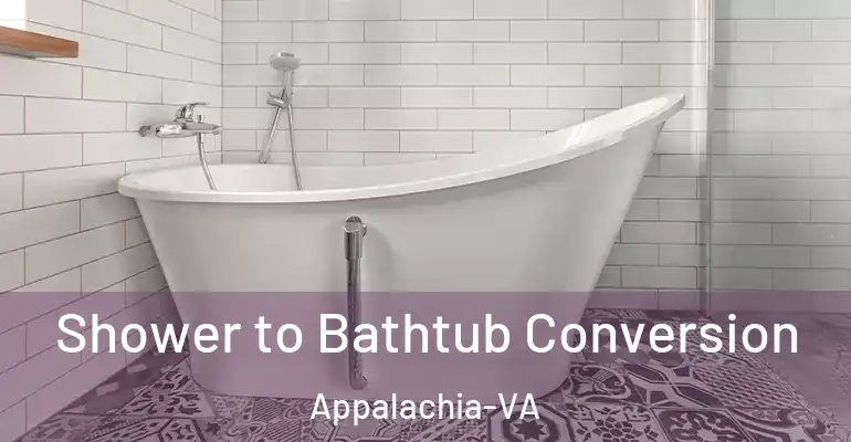 inner Bathroom imggen Shower to Bathtub Conversion Appalachia-VA
