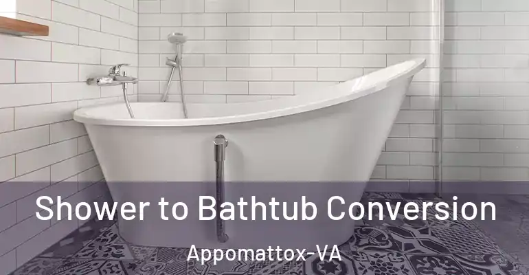 inner Bathroom imggen Shower to Bathtub Conversion Appomattox-VA