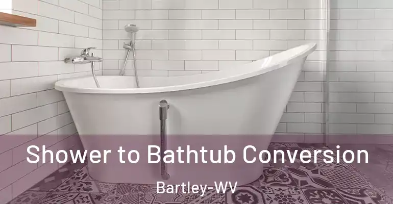 inner Bathroom imggen Shower to Bathtub Conversion Bartley-WV