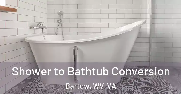inner Bathroom imggen Shower to Bathtub Conversion Bartow, WV-VA