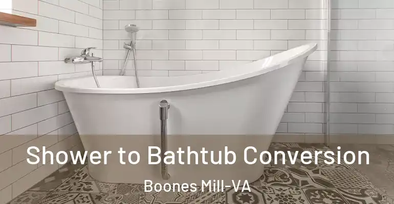 inner Bathroom imggen Shower to Bathtub Conversion Boones Mill-VA
