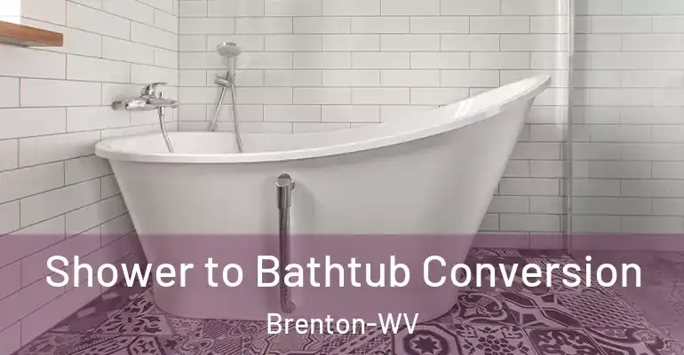inner Bathroom imggen Shower to Bathtub Conversion Brenton-WV