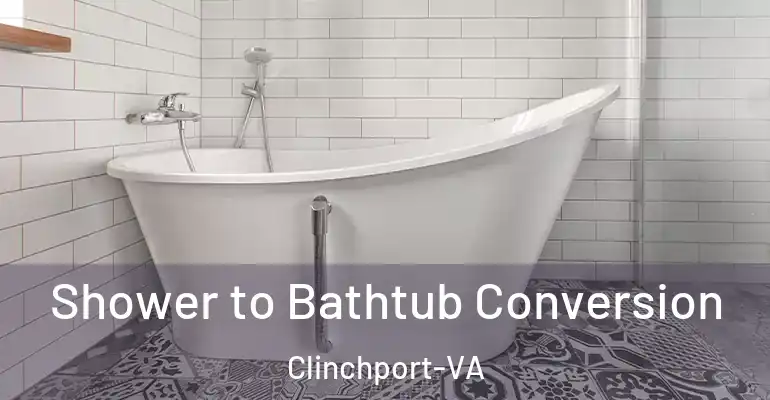 inner Bathroom imggen Shower to Bathtub Conversion Clinchport-VA