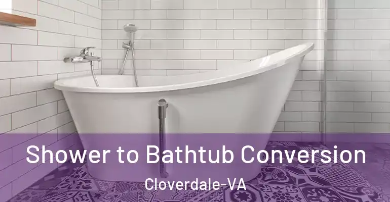 inner Bathroom imggen Shower to Bathtub Conversion Cloverdale-VA