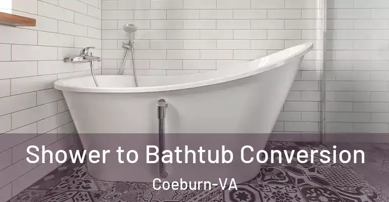 inner Bathroom imggen Shower to Bathtub Conversion Coeburn-VA