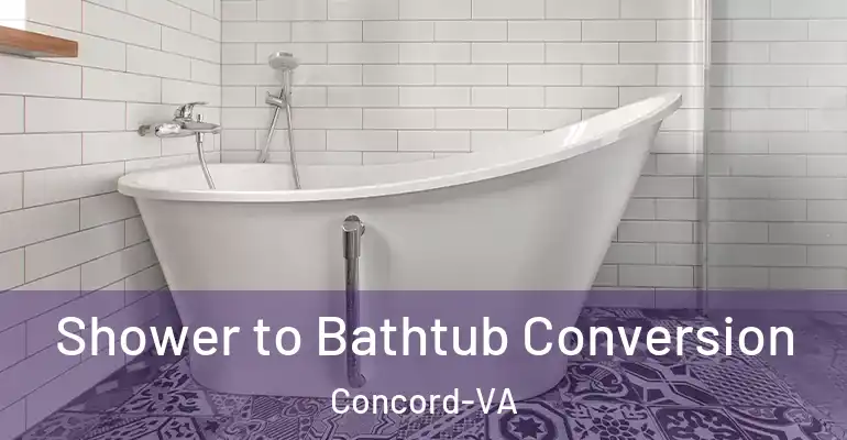 inner Bathroom imggen Shower to Bathtub Conversion Concord-VA
