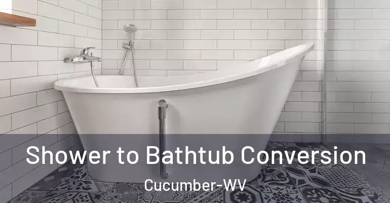 inner Bathroom imggen Shower to Bathtub Conversion Cucumber-WV