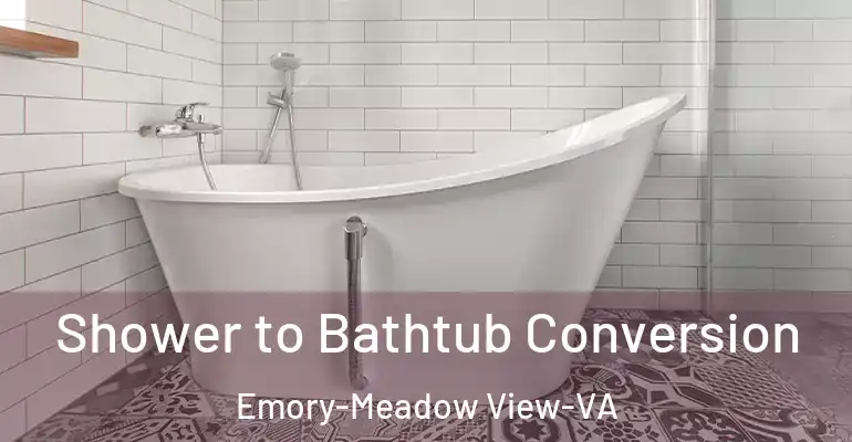 inner Bathroom imggen Shower to Bathtub Conversion Emory-Meadow View-VA