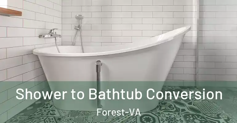 inner Bathroom imggen Shower to Bathtub Conversion Forest-VA
