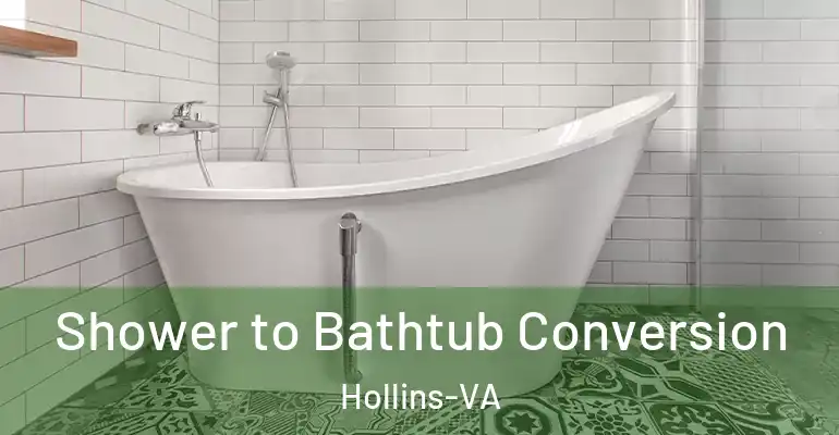 inner Bathroom imggen Shower to Bathtub Conversion Hollins-VA