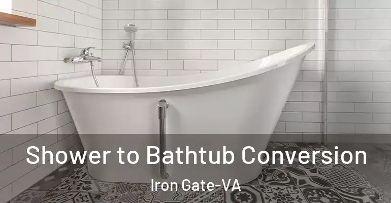 inner Bathroom imggen Shower to Bathtub Conversion Iron Gate-VA