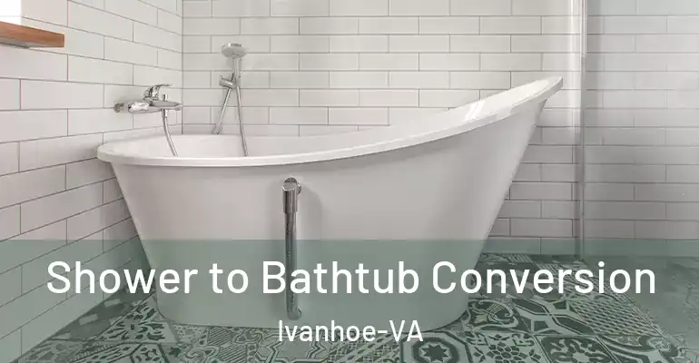 inner Bathroom imggen Shower to Bathtub Conversion Ivanhoe-VA