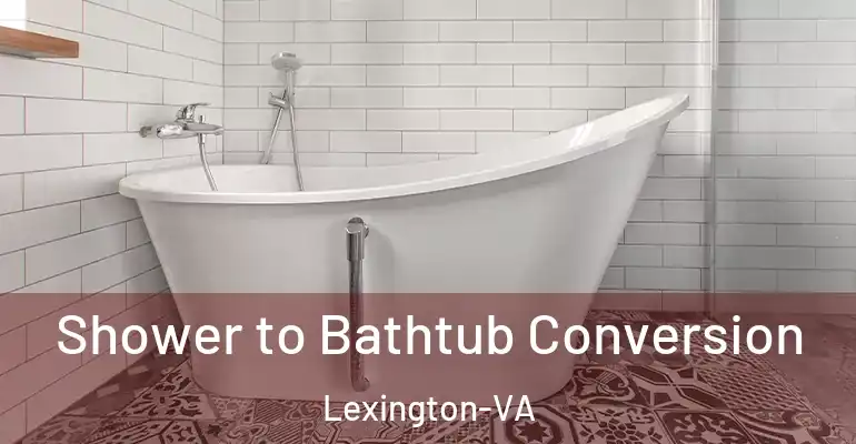 inner Bathroom imggen Shower to Bathtub Conversion Lexington-VA
