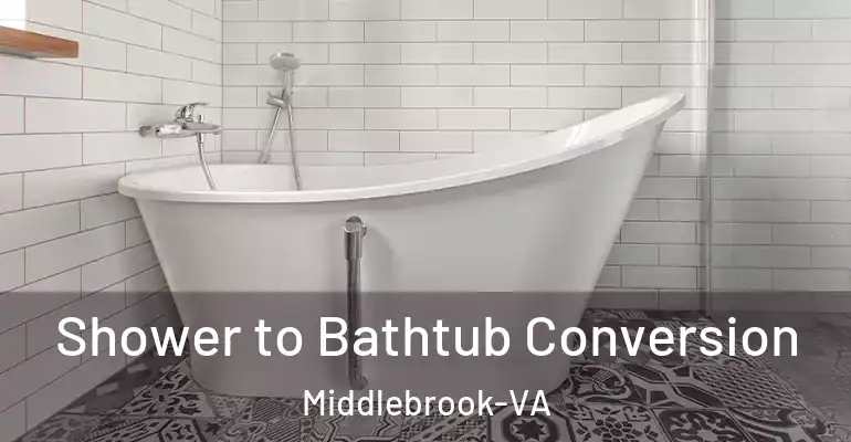 inner Bathroom imggen Shower to Bathtub Conversion Middlebrook-VA