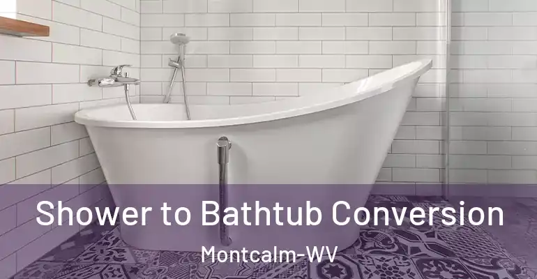 inner Bathroom imggen Shower to Bathtub Conversion Montcalm-WV