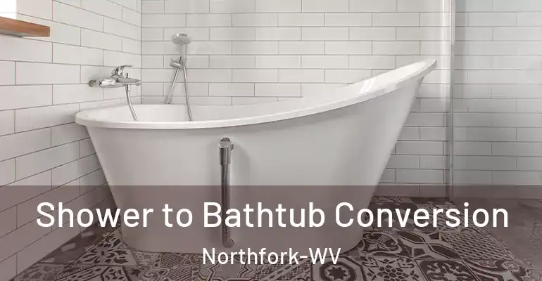inner Bathroom imggen Shower to Bathtub Conversion Northfork-WV