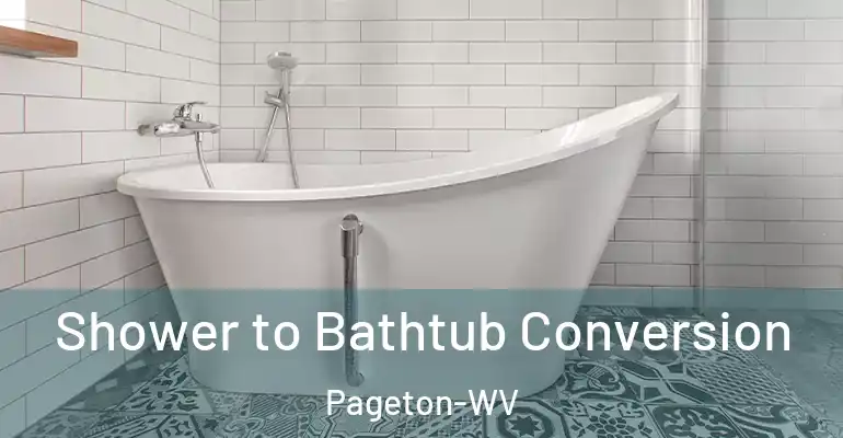 inner Bathroom imggen Shower to Bathtub Conversion Pageton-WV