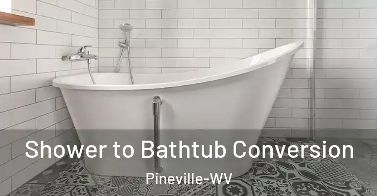 inner Bathroom imggen Shower to Bathtub Conversion Pineville-WV