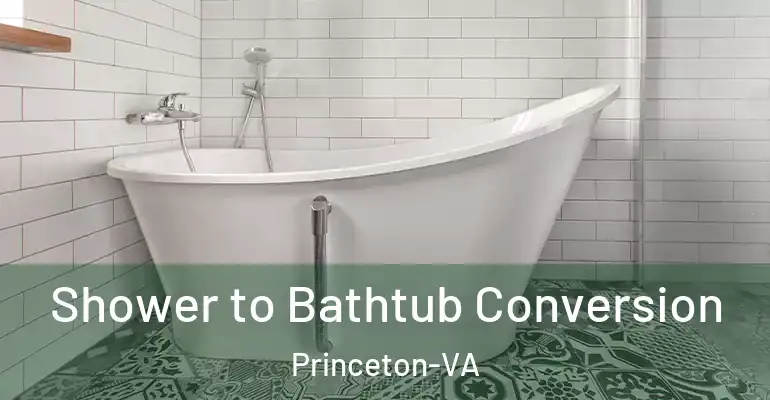 inner Bathroom imggen Shower to Bathtub Conversion Princeton-VA