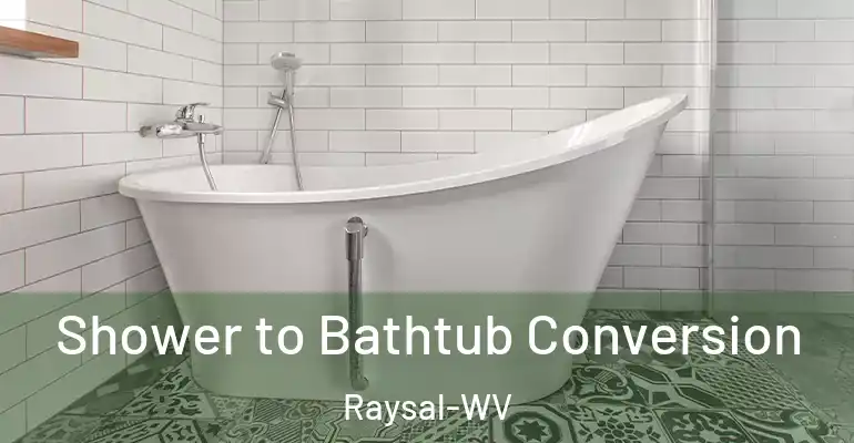 inner Bathroom imggen Shower to Bathtub Conversion Raysal-WV